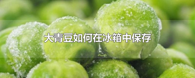 青豆如何保存在冰箱里(大青豆如何保存到冬天食用)