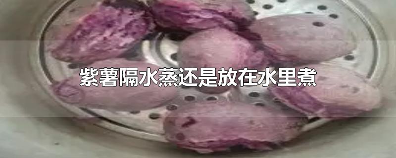 紫薯隔水蒸还是放在水里煮(紫薯直接用水煮还是蒸)