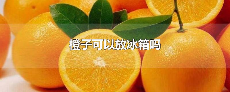 橙子可以放冰箱吗怎样保鲜最好(哪些水果可以放冰箱保鲜?)