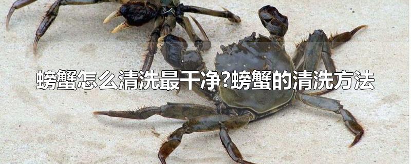 螃蟹如何清洗干净(怎样清洗螃蟹最简单的方法)
