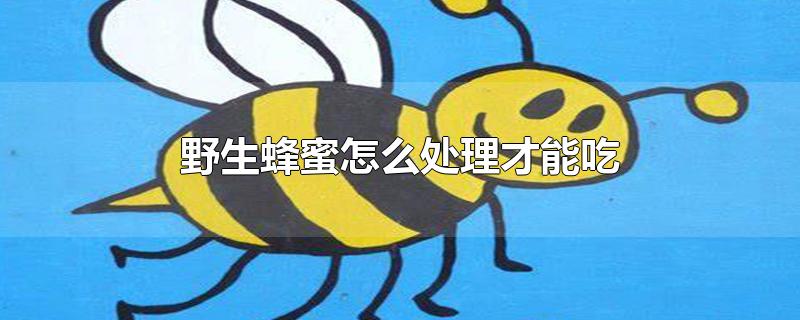 野生蜂蜜怎么处理才能吃?野生蜂蜜需要怎么处理?(野生蜂蜜怎么处理才能吃该怎么说)