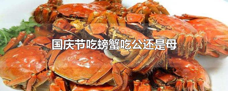 国庆节吃螃蟹吃公还是母(过年螃蟹吃公的还是母的)