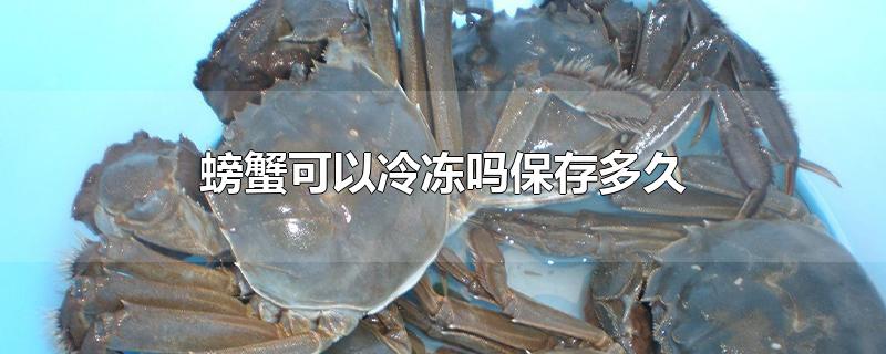 螃蟹可以冷冻吗保存多久(螃蟹能放冰箱冷冻多久)