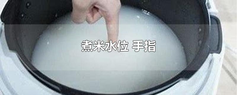 煮米饭用手指量水位(煮饭手指水位)