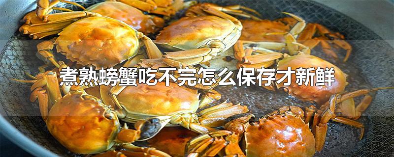 煮熟吃不完的螃蟹怎么保存(吃不完的熟螃蟹怎么保存)