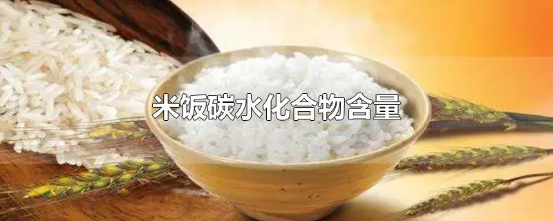 米饭碳水化合物含量100g(米饭碳水化合物含量高吗)