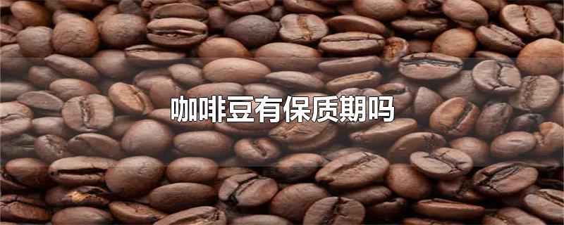 咖啡豆有保质期吗保质期几年(咖啡的有效期几年?)
