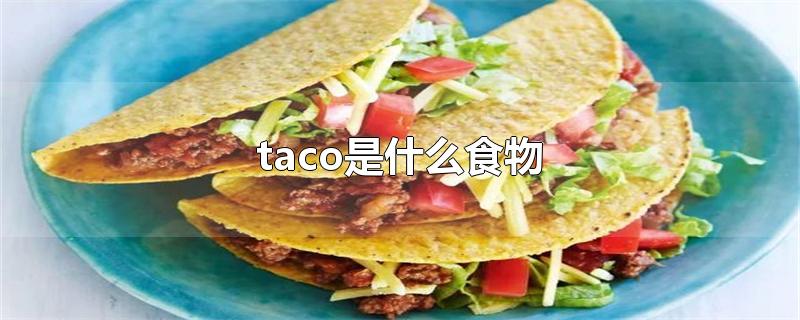 taco是什么食物怎么读(taco是什么食物图片)