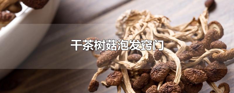 干茶树菇泡发窍门干茶树菇要泡多久,干茶树菇泡发窍门