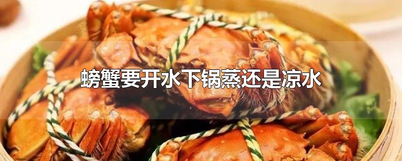 螃蟹上锅蒸用热水还是用凉水(蒸螃蟹是等水开了下锅还是冷水下锅)