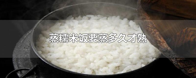 蒸糯米饭的做法 最正宗的做法(糯米饭怎么煮才好吃)