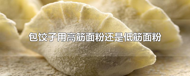 做面包用高筋面粉还是低筋面粉(做包子用哪种面粉最好)