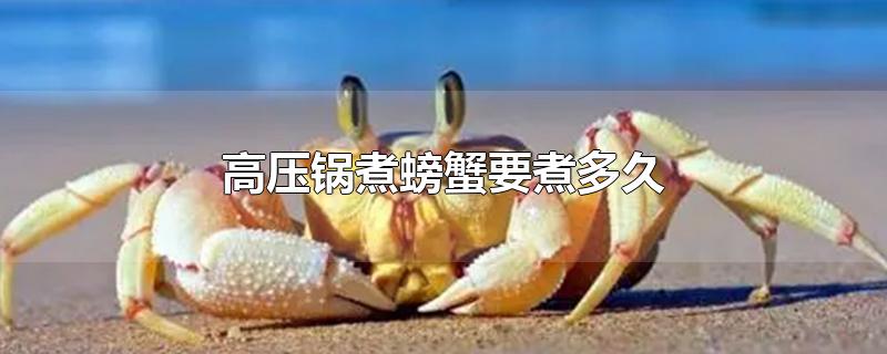 高压锅煮螃蟹要煮多久才熟(螃蟹放在高压锅煮要多少分钟)