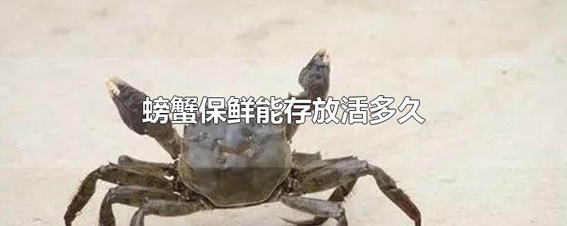 螃蟹保鲜能存放活多久(新鲜的活螃蟹可以保存多久?怎么保存?)