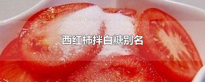 西红柿拌白糖别名叫什么,西红柿拌白糖别名雪山飞狐