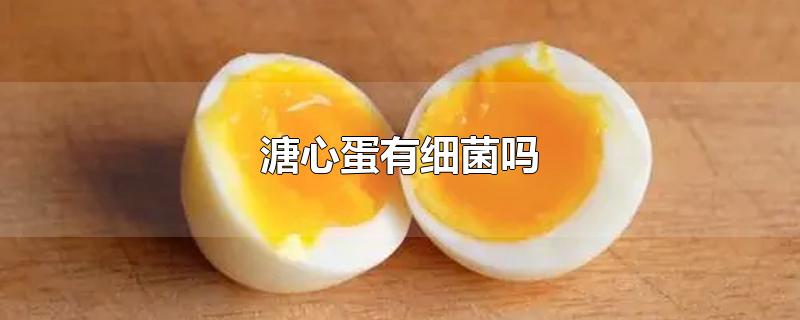 鸡蛋溏心蛋有细菌吗(水煮溏心蛋有细菌吗)