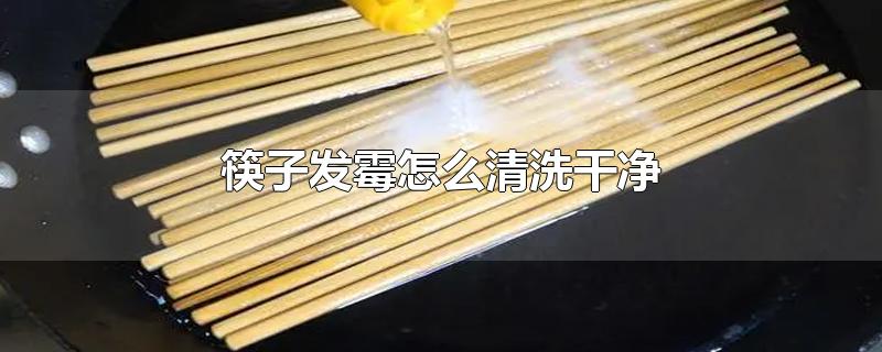 筷子发霉怎么清洗干净(怎么去除筷子上的霉斑)