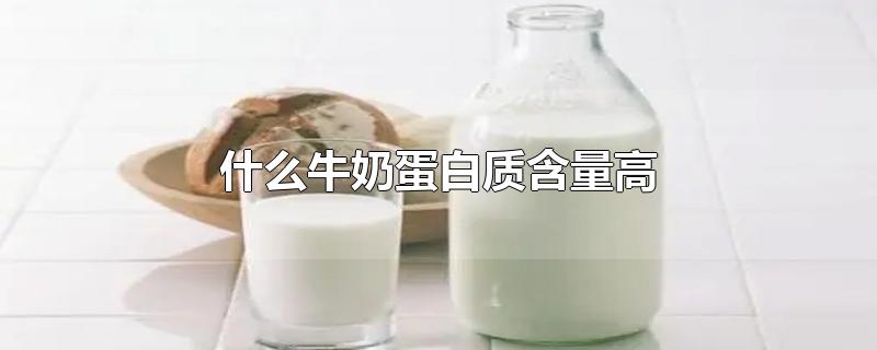 什么牛奶高蛋白比较高,什么牛奶蛋白质含量最高