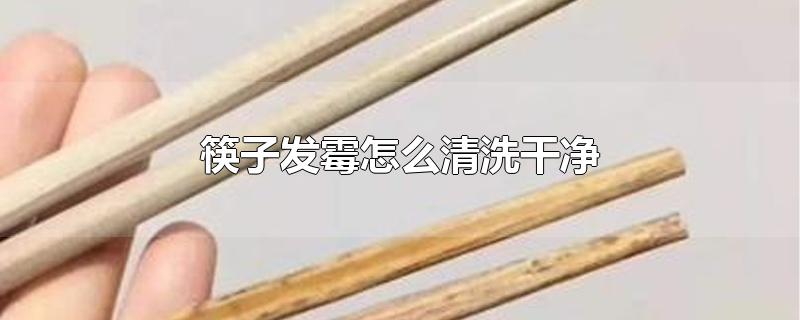 筷子发霉怎么清洗干净(哪种筷子不发霉又无毒又好用)