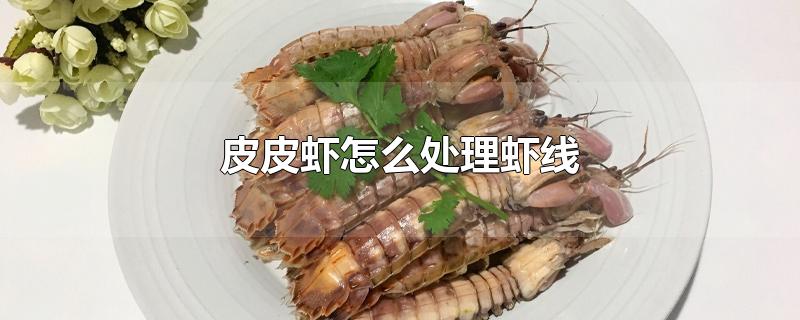皮皮虾怎么处理虾线视频教程,怎样去除大虾的虾线