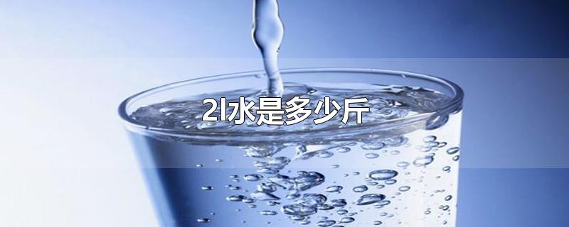 2.2l水是多少斤(一桶水多少升)
