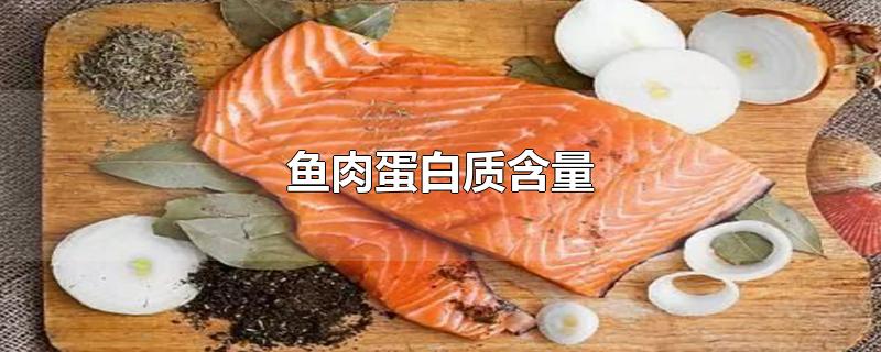 鱼肉蛋白质含量高吗(鱼肉蛋白质含量100g)