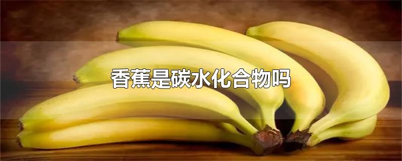 香蕉是碳水化合物吗(香蕉有碳水化合物成分吗)