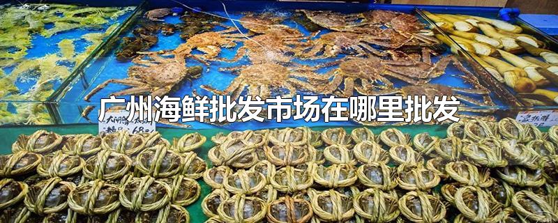 广州海鲜批发市场在哪里批发市场(广州海鲜批发市场在哪里批发是中国最大的么)