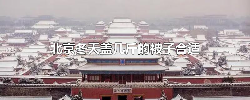 北京冬天盖几斤的被子合适(北京冬天用几斤的被子)