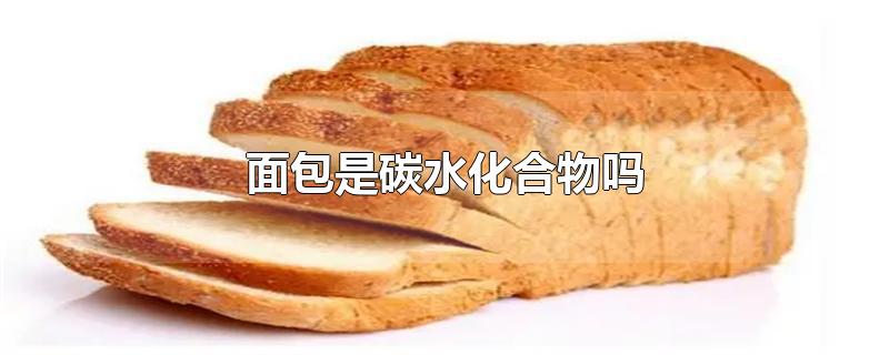 全麦面包是碳水化合物吗(黑麦面包是碳水化合物吗)
