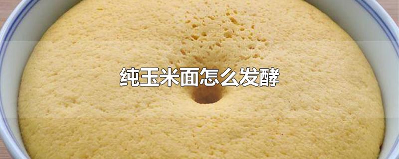 纯玉米面怎么发酵松软(面粉怎么发酵?)