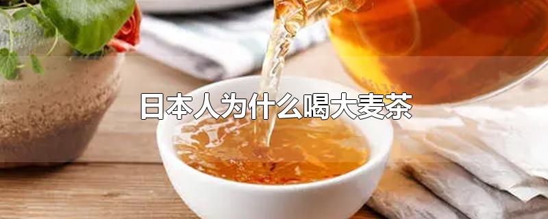 日本大麦茶(日本人为什么喝大麦茶健脾吗)