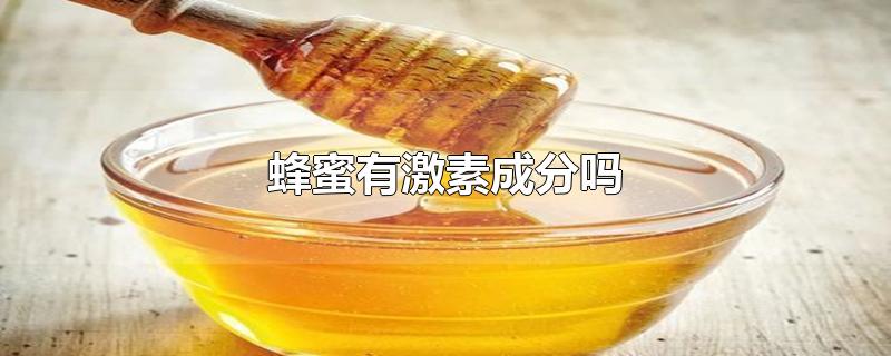 蜂蜜有激素成分吗