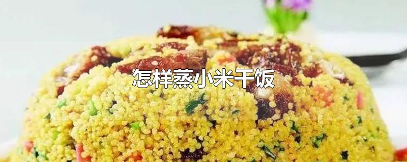 怎样蒸小米干饭(怎样做小米干饭?)