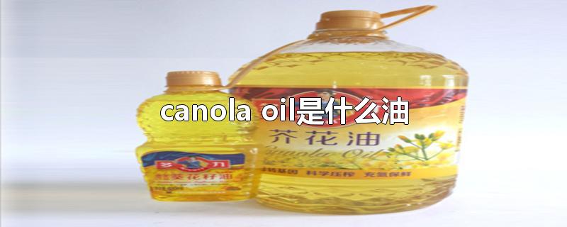 canolaoil是什么油(canola oil是什么意思啊)