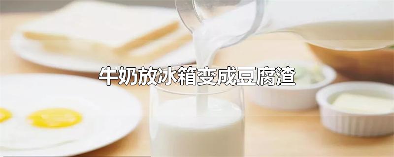 牛奶放冰箱变成豆腐渣没有酸味(牛奶放冰箱变成豆腐渣可以发面用吗?)
