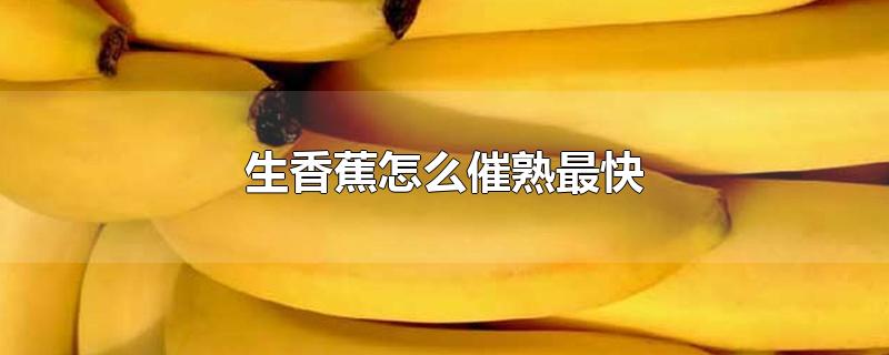 生香蕉怎么催熟最快(冬天生香蕉怎么催熟最快)