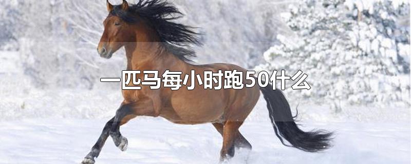 一匹马每小时跑50什么单位(一匹马每小时跑50什么?)