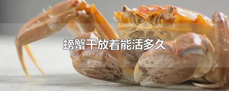 活的螃蟹可以放多久(螃蟹在干燥的地方能活多久)