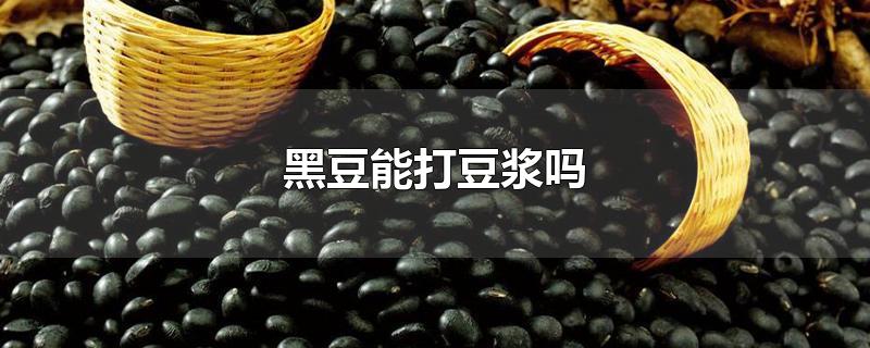 黑豆豆浆粉(黄豆豆浆)