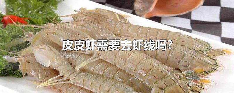皮皮虾怎么处理虾线(皮皮虾需要去虾线吗?)