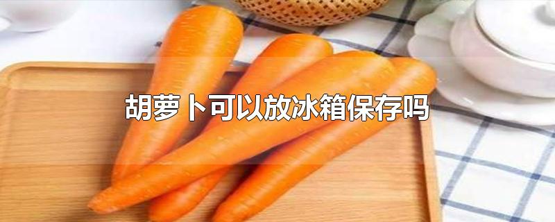 胡萝卜保存方法,带泥胡萝卜可以放冰箱保存吗