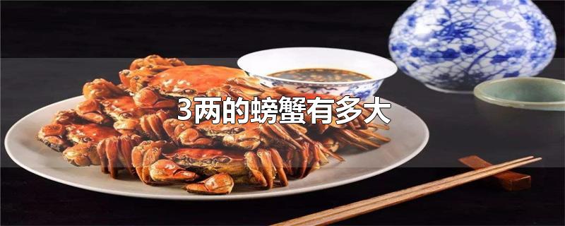 三两的螃蟹多少钱一斤(三两的螃蟹多少钱一个)