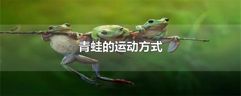 青蛙的运动方式主要是什么(青蛙的运动方式是什么)