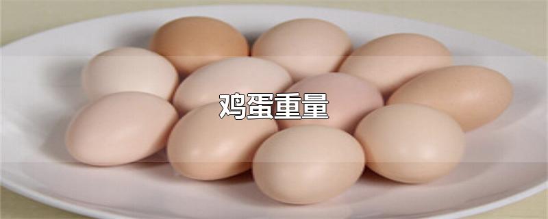 鸡蛋重量一般是多少克(鸡蛋重量约60)