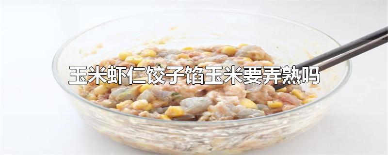 玉米虾仁饺子馅的做法玉米要煮熟吗(玉米虾仁馅饺子怎么做)