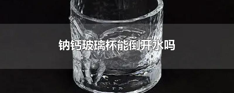 星巴克钠钙玻璃杯能倒开水吗(钠钙玻璃杯能倒100℃开水吗)