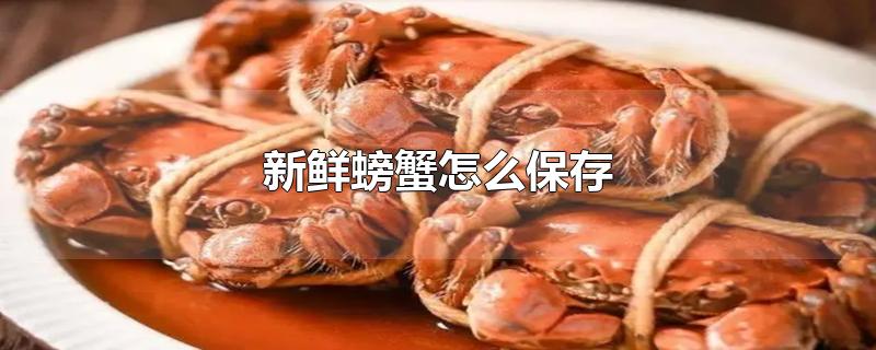 新鲜螃蟹怎么保存才新鲜(能保存多久(新鲜螃蟹怎么保存方法)