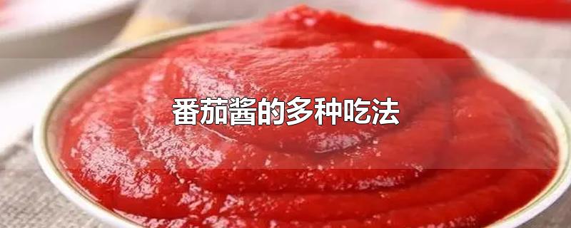 番茄酱的多种吃法视频(番茄酱的多种吃法手抓饼)