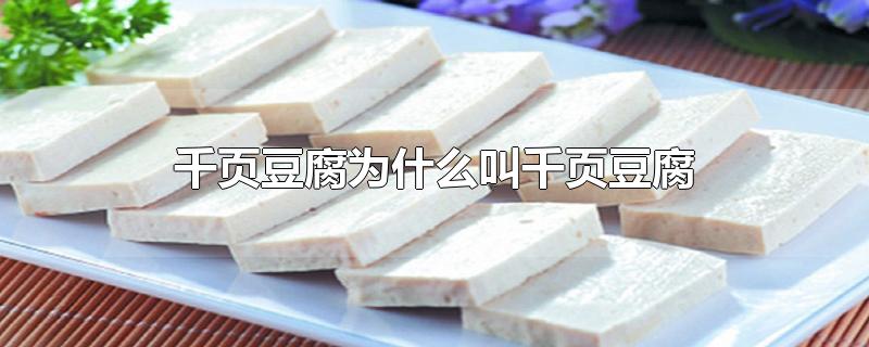 千页豆腐为什么叫千页豆腐?(什么是千页豆腐)